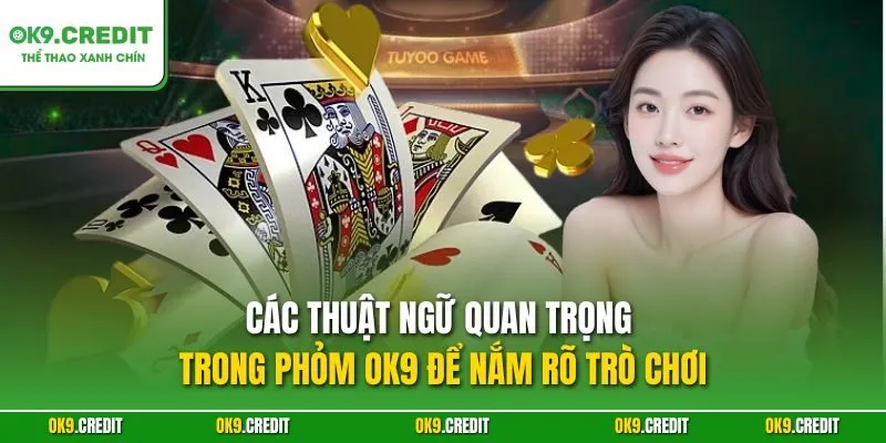 Các thuật ngữ quan trọng trong Phỏm OK9 để nắm rõ trò chơi