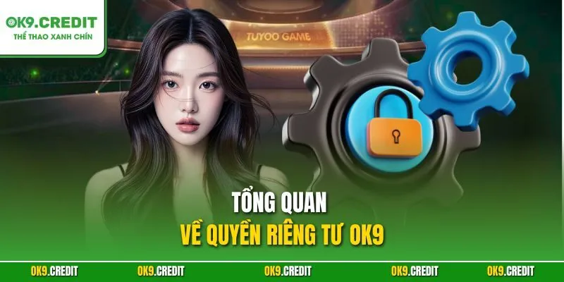 Tổng quan về quyền riêng tư OK9