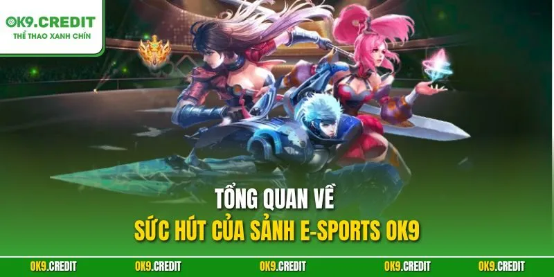 Tổng quan về sức hút của Sảnh E-Sports OK9