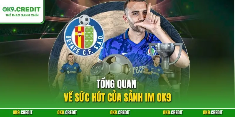 Sảnh IM OK9 – Thiên Đường Cá Cược Thể Thao Với Kèo Cực Chất 2 Tổng quan về sức hút của Sảnh IM OK9